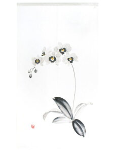 g ̂ 85x150cmuӒ nv95111 { Ԏd؂ J[e ^yXg[ ډB  Ki ʏ Lb` 䏊  d؂ I pg[ Mt v[g ̓