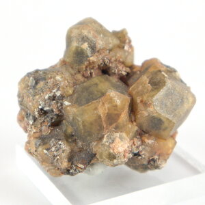 }K[lbgiў֐΁j^} AtJ