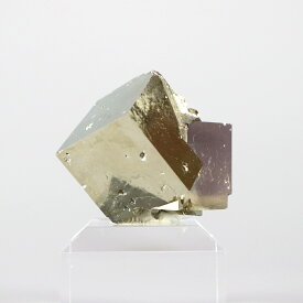 【一点物】パイライト（黄鉄鉱）原石 / スペイン産