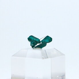 【一点物】ダイオプテーズ（翠銅鉱）原石 / コンゴ共和国産　台座付き