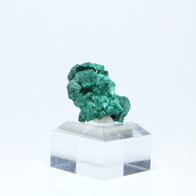 【一点物】ベルベットマラカイト（孔雀石）原石 / コンゴ民主共和国　台座付き