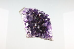 AWXg()^EOACY@VR z zW{ W{ _  p[Xg[ RNV