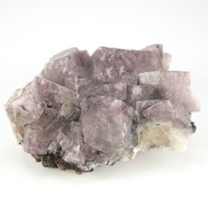 t[Cgiu΁j ^CMXY@VR z zW{ W{ _  p[Xg[ RNV