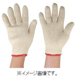 ۘaP~J wlpȌR 12og 177