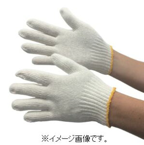 TRUSCO/gXRR() ȍR STCY 10o TGS450