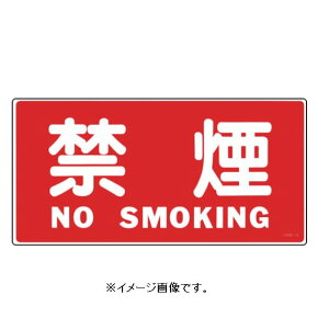 Ώ\/(){Ώ\ hE댯W ։ENOSMOKING 250×500mm Gr KHS-4 056040