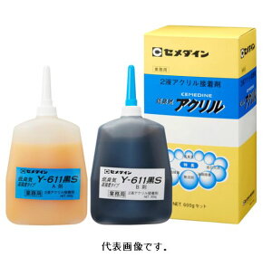 Z_C ^bNY611S 600gZbg AY-099