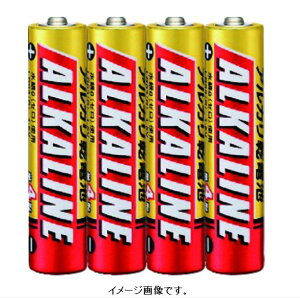 �y�ǐՉ\���[���։z�O�H�d�@ �A���J�����d�r�P4�`4�{�p�b�N LR03R/4S