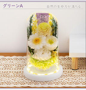    2ZbgvU[uht[ h[ ͂Ȃ   o KXh[ ~ @ 1  ފ dp ~ @v O  \O \