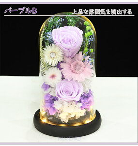    2ZbgvU[uht[ h[ ͂Ȃ   o KXh[ ~ @ 1  ފ dp ~ @v O  \O \