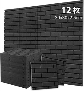 (12)h z K^x   h z΍ R h |E^  y    ΍ ʃe[vt