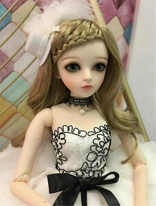 lCBJDh[ 100nhCh 1/3֐ߐl` ֐߉ BJDh[ v[g RNV {+ዅ+++C 60cm