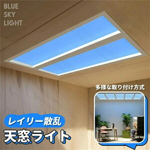 V[OCg Vv _ XJCCg Ɩ VCg  X}[gT XJCCg oX[ ʘH rO[ VƖ 120cm