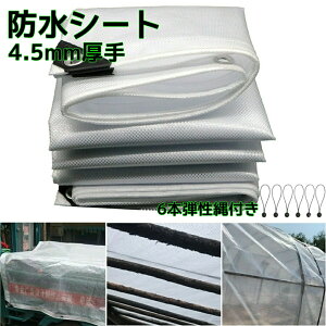 hV[g rj[V[ghV[g  O  4.0mm Jo[ A ~ ۉ   fMV[g ܂肽 ʖhRȂ h ό O 悯 J悯 ؉ _ 