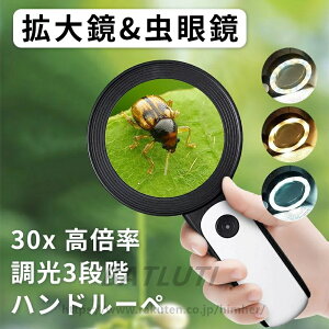 30{ { g勾 LEDCgt 30{ ዾ [y { ₷ g僌Y 3iK [y 莝[y 12LEDCgt Ǐ[y ዾ y Ǐ ώ@ ΊӒ  