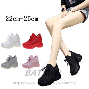  Xj[J[ fB[X  Xj[J[ EFbW\[ Xj[J[ fB[X X|[c V[Y   8cm Cq[ Ȃ Xj[J[ T_  bV C 