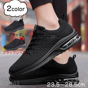 Y fB[X jOV[Y Xj[J[ lC EH[LOV[Y JWA GA[NbV X|[cV[Y ^C y ʋC