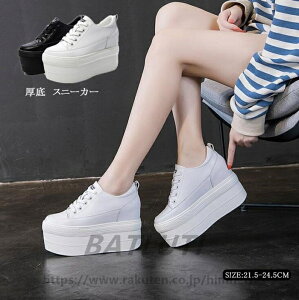 EFbW V[Y  Xj[J[ [XAbv  V[gu[c EFbW\[ Ebh X[X  傫TCY {v@21.5cm`24.5cm