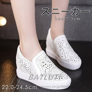 y Cq[Xj[J[@{v ɂȂ fB[X  @zCg Xj[J[ EFbW\[ Xb| Cq[Xb| Cq[ Cq[Xj[J[ Xj[J[ 