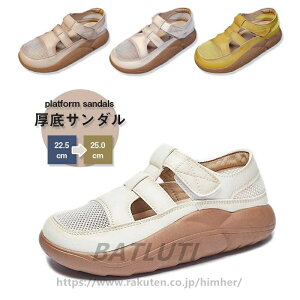 y2024NVzT_ fB[X  Xj[J[  JWAV[Y lC  ~ ₷ Xbp dp  O y Xb| C nCJbg