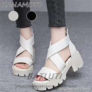 T}[u[c u[cT_ fB[X C V[Y ău[c q[ I[vgD 傫TCY 6cmq[ r u[c T_ u[eB nCq[  T_ ₷ 