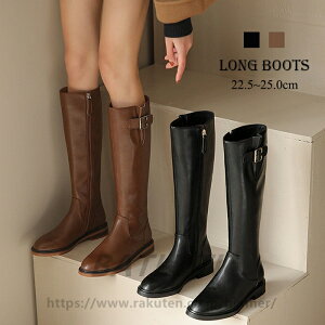 Ou[c r fB[X WbL[u[c H ~ nu[c vu[c 3cmq[ ₷ ɂ q[ 傫TCY TCY ubN uE fB[X C ɂ