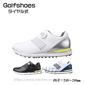 StV[Y Y XpCNX _C  傫TCY 4E L   StV[Y 28cm L tBbg V[Y St y ₷ h ϋv ϊ K rWl