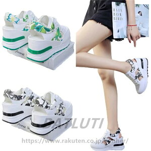 T_ fB[X T_ vbgtH[V[Y nCq[8cm X|[cT_ r[`T_ T_ ~[ fB[XT_ ؂ C V[Y AEghA