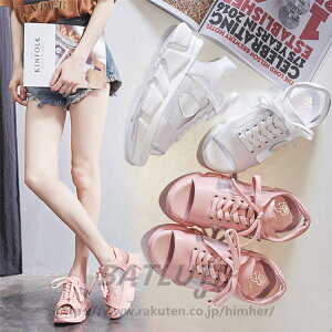 X|[cT_  Xj[J[ ƂȂ fB[X Xj[J[ T_ T{Xj[J[ jOV[Y q[5.5cm T_Xj[J[ 