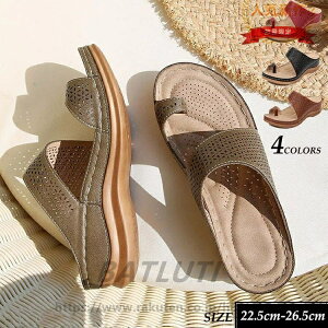 T_ gOT_ ew fB[X   傫TCY  r[` q[ ɂȂ 5cmZ`q[ H| ʋC LȂ  ₷  pu y ɂ 