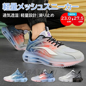 Xj[J[ Y ^C jO V[Y WMOV[Y X|[c t@bV EH[LO ʊw bV j C\[ ʋ y  Vv 傫TCY 