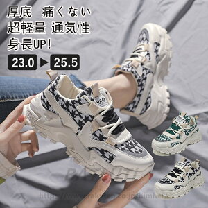 Xj[J[fB[X ^C y  Vv Ȃ  Ռz ʋCQ ~ jO V[Y WMOV[Y X|[c t@bV EH[LO ʊw 