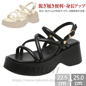 T_ fB[X  ₷ T_ 5cmq[ r r fB[X  T_ r gAbv [}T_ t@bVT_ JWAT_ 