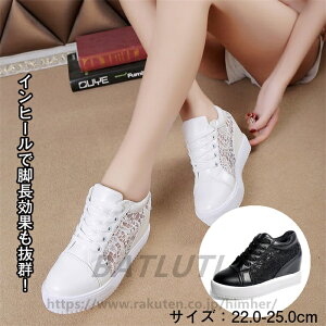 Xj[J[ fB[X bV r Cq[  킢  ėp l Vv  22.0-25.0