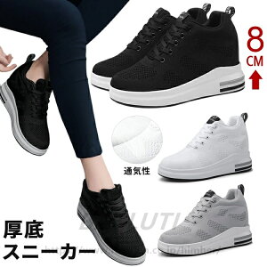 Xj[J[ fB[X EH[LOV[Y Cq[Xj[J[ fB[XXj[J[  V[NbgV[Y 8cm r y ؍ gAbv q[Abv Cq[ 