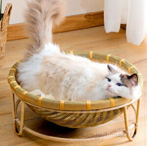 L   xbh t L nbN^Cv 􂦂 Lxbh LbgnEX ybgxbh JS ^ Lp nEX p xbg ybgxbg ybgnEX lR ˂ ^ 