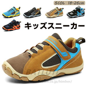 LbY C Xj[J[ j̎q ̎q 16.5cm WjA V[Y qC X|[c V[Y AEghA jO ^C {[CY y EH[LOV[Y t  H ʋC h ʉ ʊw 