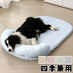 ybgxbh ^ ^ ėp ʋC ^ n Vv  傫TCY lGp L  lRpxbh pxbh Q Lpxbh ybgpxbh Hp p Lp Lp H~p