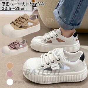  Xj[J[ fB[X  Xj[J[ T_ T_ 5cm [XAbv Xj[J[T_ fB[X X|[cT_ JWAV[Y V[Y  y