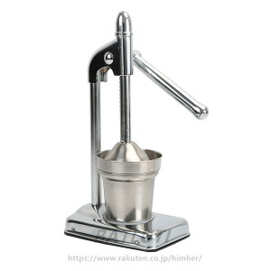 ƒp nhW[T[ 蓮 W[T[ IW/i 304XeX|