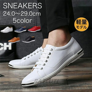 y Xj[J[ Y tFCNU[  V[Y [Jbg lC C ʋ ʊw jp  Sn