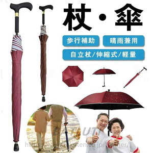 2in1  XebLƂĂgpɂȂXebLP  P SՌ UVJbg P Vl J Jp P s⏕ fB[X Y am jp p jp AEghA v