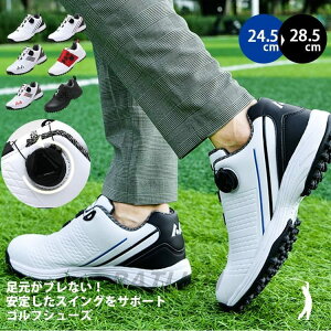 StV[Y Y fB[X _C Xj[J[ 傫TCY 4E L XpCNX tBbg y ₷ h ϋv K    