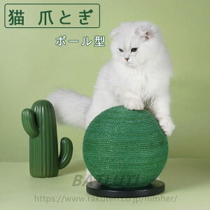 L ܂Ƃ Lp ܌ ܖ T{eƃ{[^ L̂ VRTCU  Ƌ\t@ی XgX ^s {[   