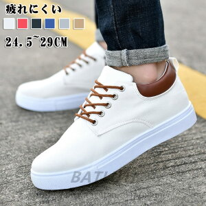 Xj[J[ Y V[Y fB[X X|[cV[Y jOV[Y C EH[LOV[Y  U d g[jO JbvC lC y  傫 L ʋC 