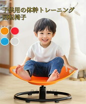 楽天市場】gonge 遊具 バランス感覚 リバー tygn2123の通販