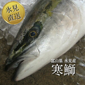 yzX uXY VR  ܂邲1{ 8`9kg