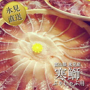 yzXY@܂Ԃ肵ԗpi3`4lOjX VR u