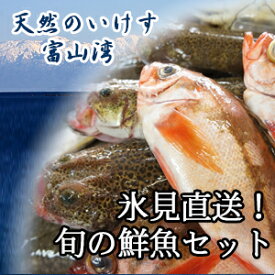 天然のいけす 富山湾 氷見漁港 旬の鮮魚セット　10000円