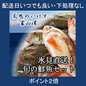 yzwszVR̂ xRpX` {̑NZbg